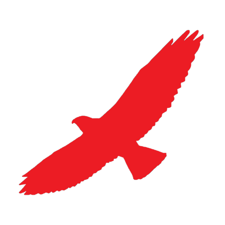 red hawk silhouette